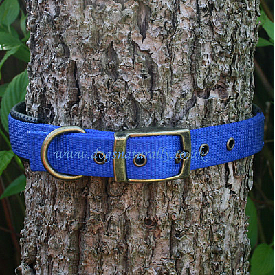 Blue Padded Dog Collar 20
